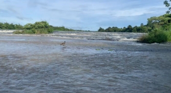 Bebê desaparece em rio de Goiás